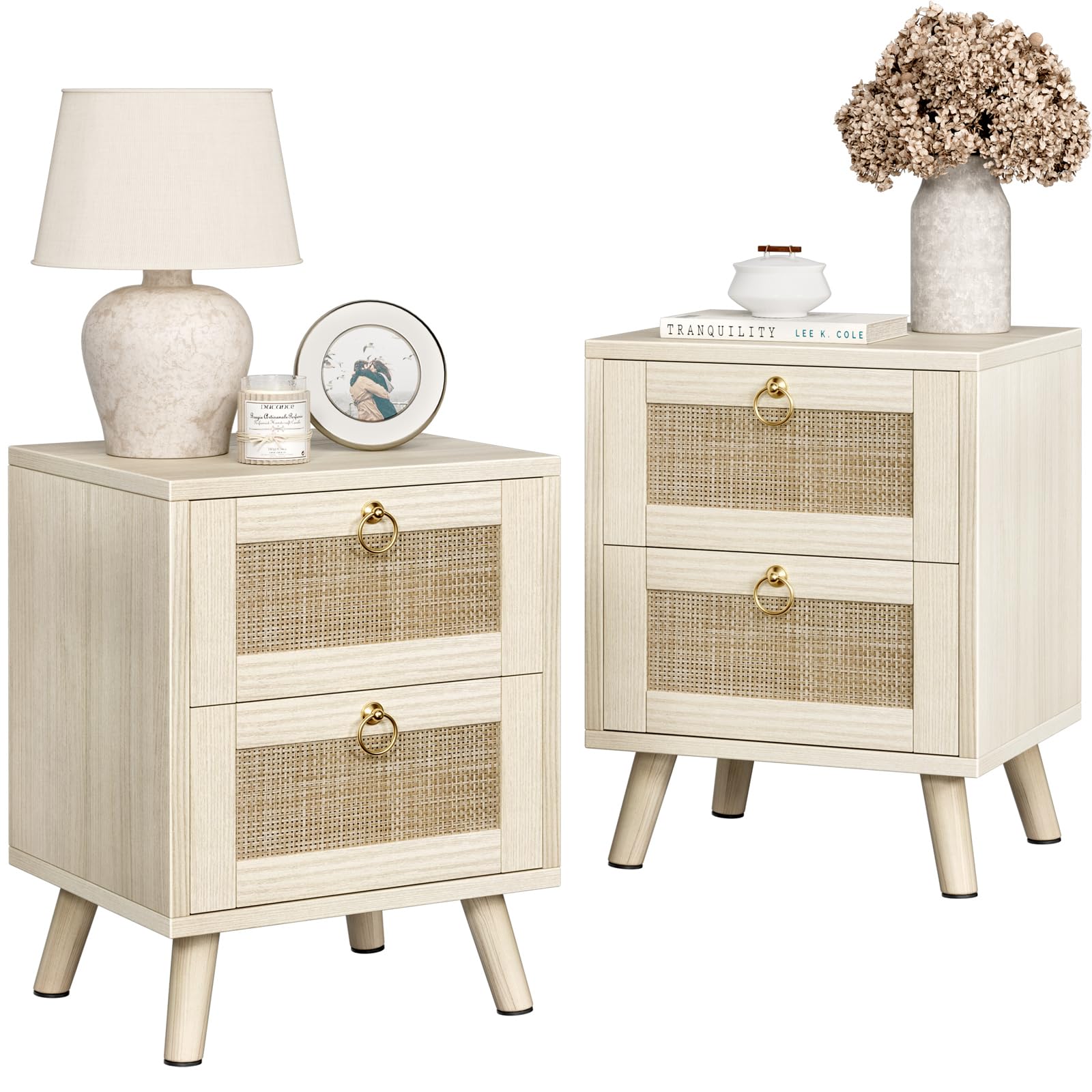 Boho Rattan 2-Drawer Wooden Nightstand